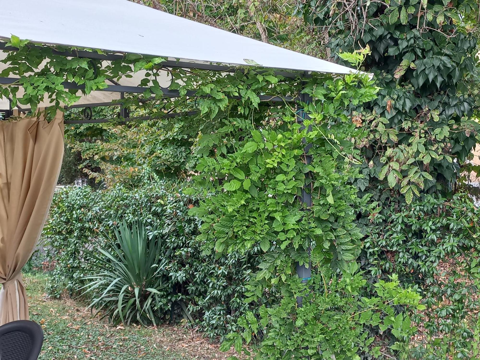 Appartamento Le Magnolie 2 Mestre Exterior foto