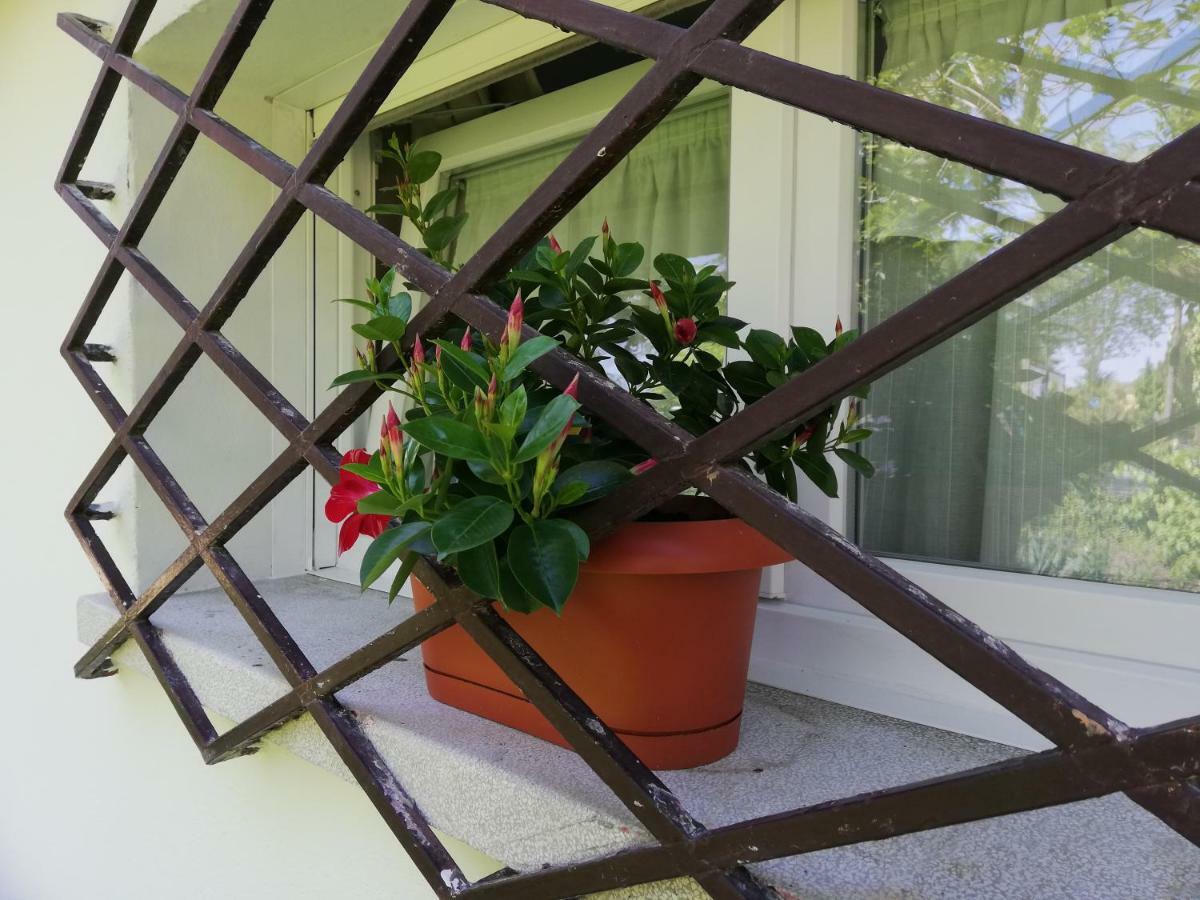Appartamento Le Magnolie 2 Mestre Exterior foto